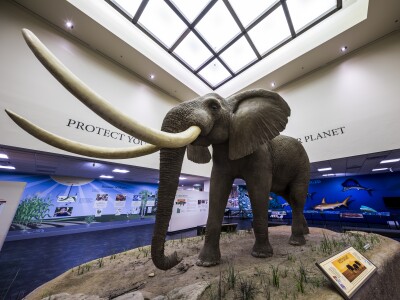 Monte L. Bean Life Science Museum