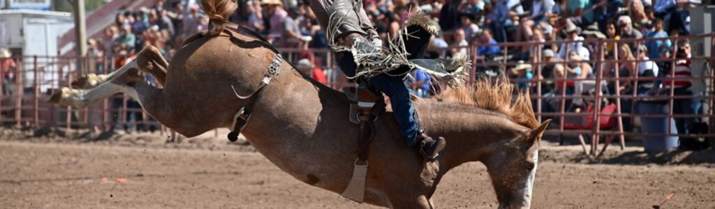 Cowboy on a bronco