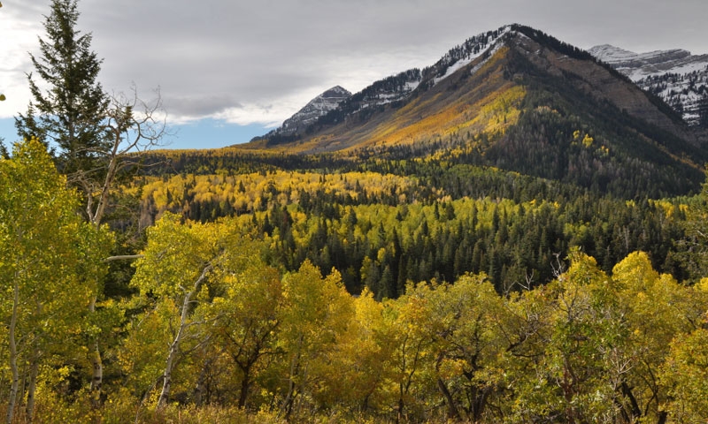 Vista from the Alpine Loop Scenic Byway