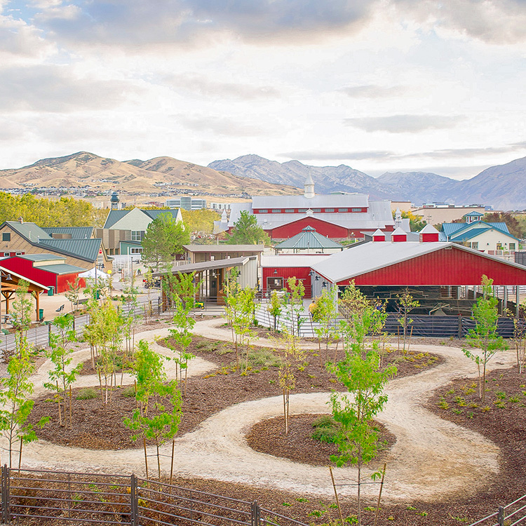 Overview of Curiosity Farms