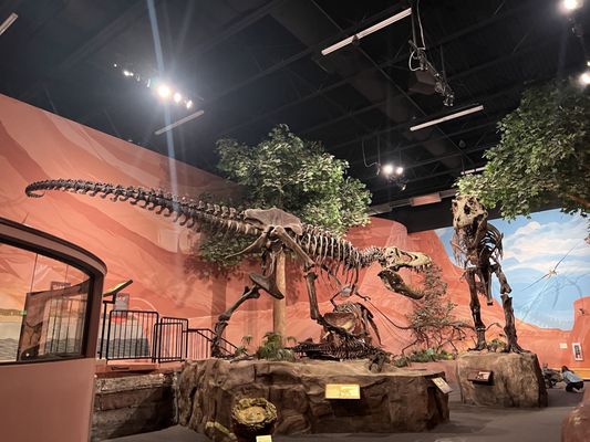 Mountain America Museum of Ancient Life Display