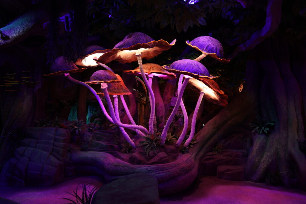 Dreamwalk Park Fungi Forest