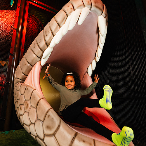 Jurassic Jungle Snake Slide