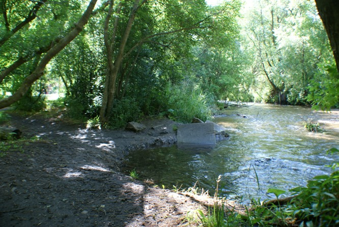 South Fork Park River