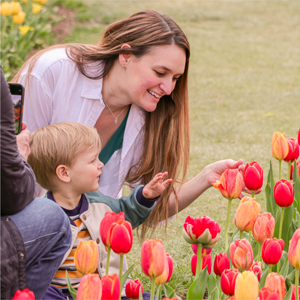 Tulip Festival Mother and Child visiting